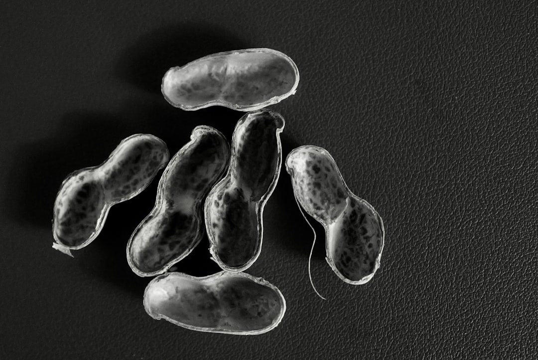 Mikrobiom jelitowy: utrzymanie równowagi 7 Photo gut microbiome balance